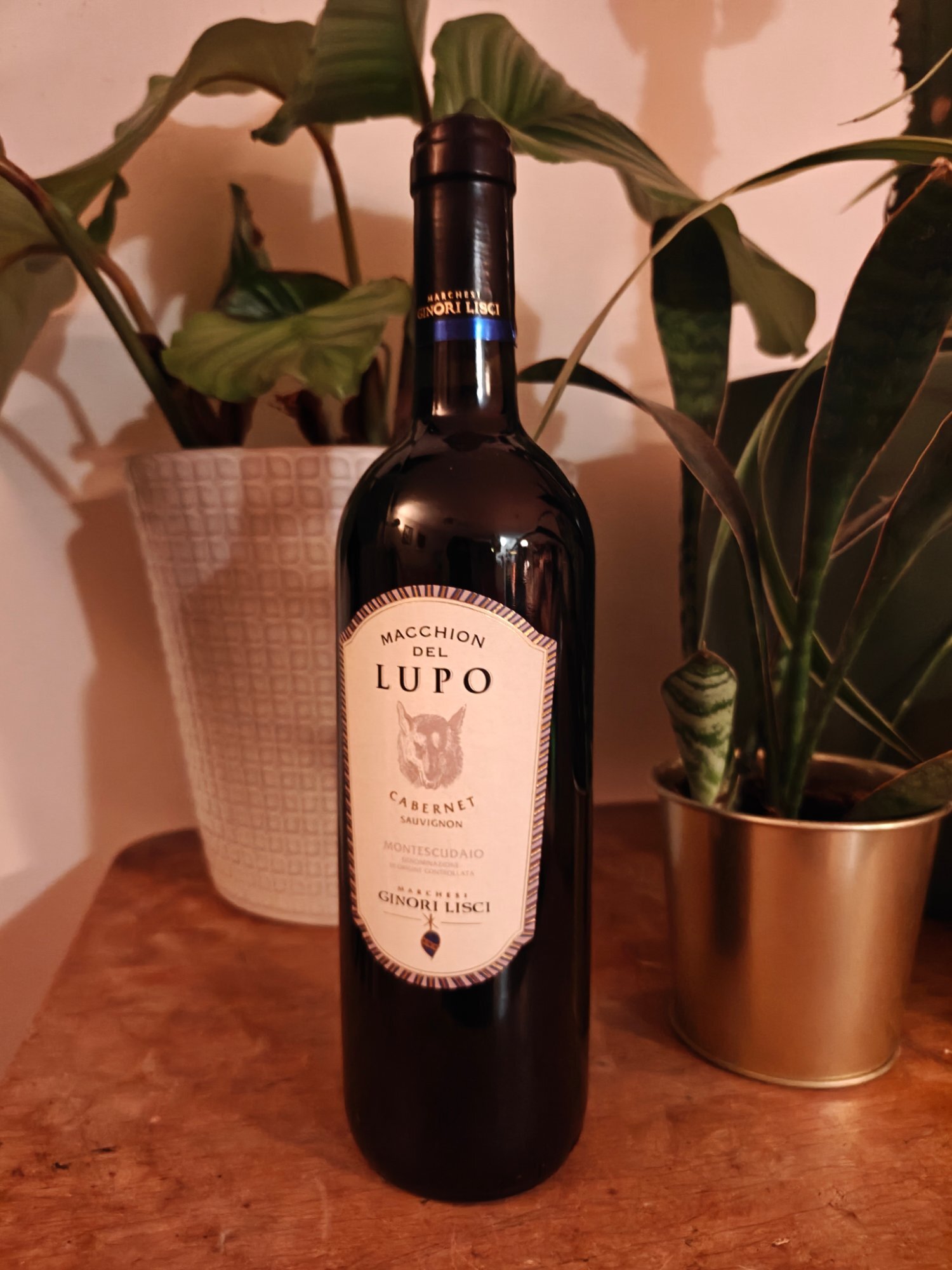 Etiket van Macchion del Lupo